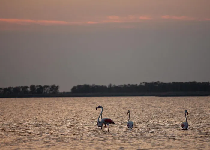 Guesthost - Flat A Due Passi Dalla Appartement *