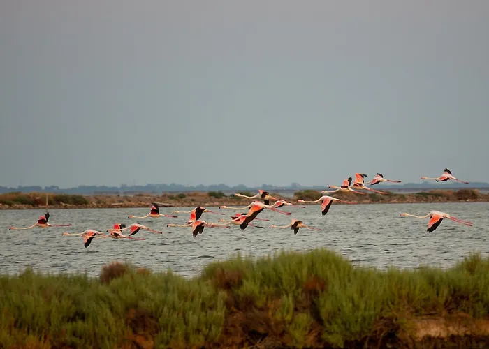 Guesthost - Flat A Due Passi Dalla Apartament *